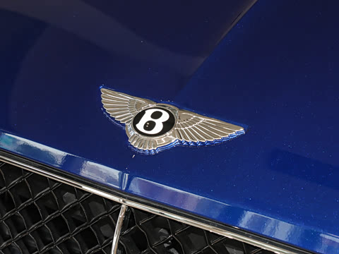 2024�� 4.0T GT V8