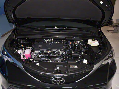 2026�� 2.5L ˫����������