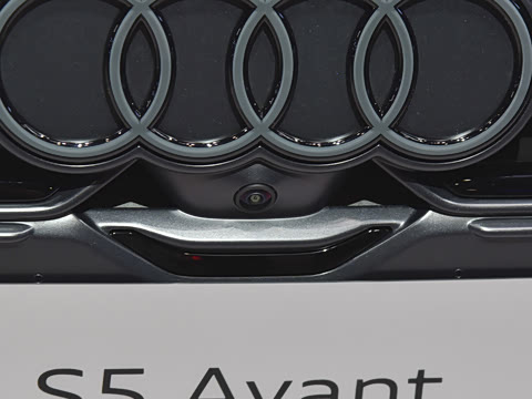 2025�� Avant