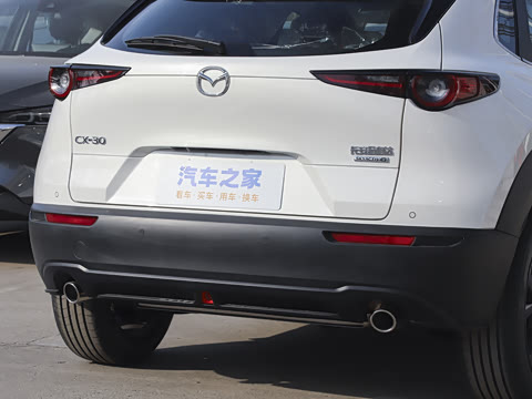 2025�� 2.0L �Զ�������