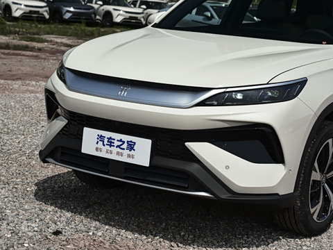 2026�� DM-i 220KM��Խ��