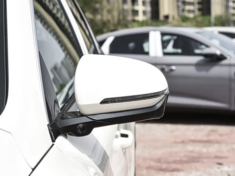 2026�� DM-i 220KM��Խ��