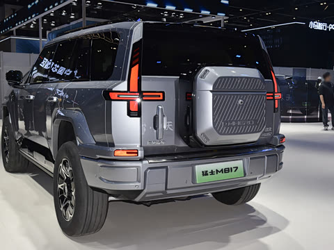 2025�� Max