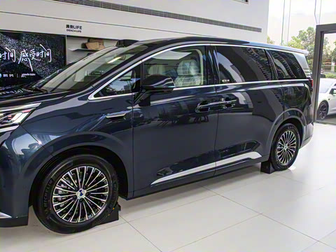 2025�� DM-i ��������