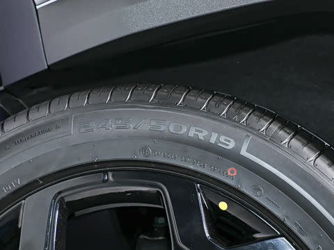 2026�� 565KM ���������