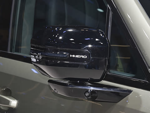 2025�� Pro