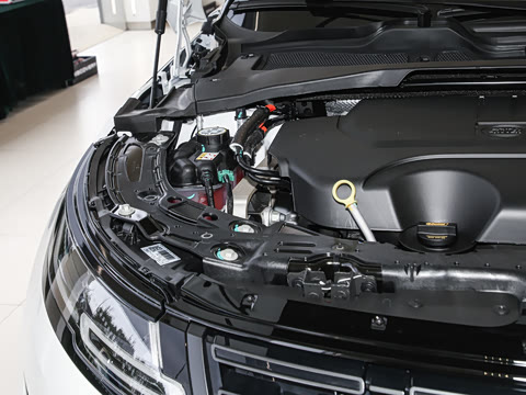 2026�� ��ʤ���� L SE