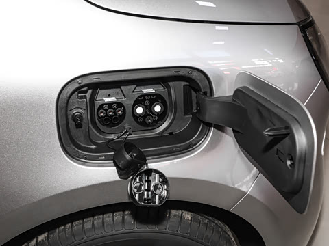 2026�� �����