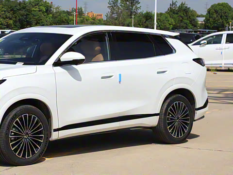 2025�� 185KM�����