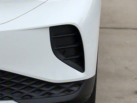 2026�� ������PURE