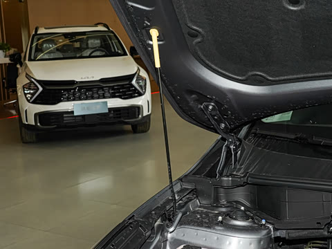 2026�� ����������