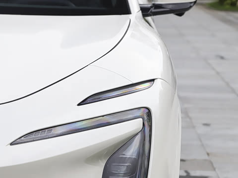 2026�� ����������