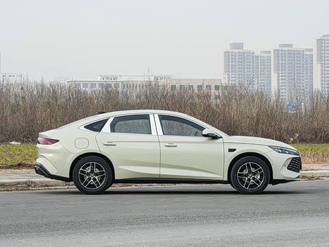 2026�� DM-i 210KM��Խ��