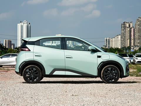 2026�� 305km ���ɰ�