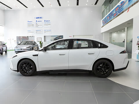 2026�� 535 MAX�����