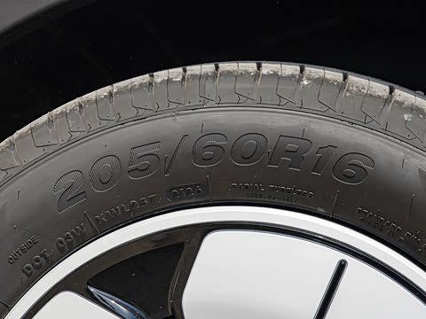 2026�� 310km ������