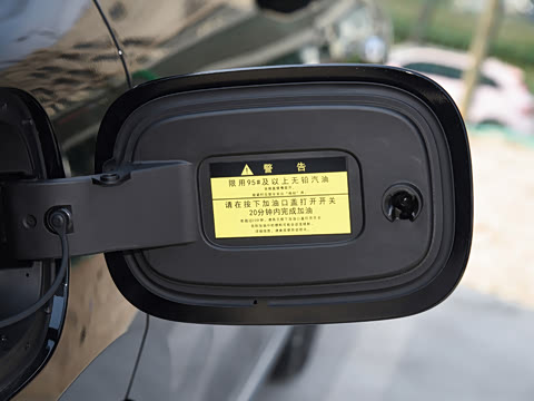 2026�� ���� Max�������� 5��