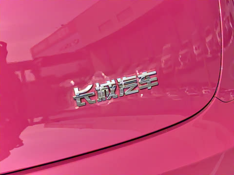 2026�� 580km Max��