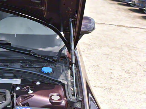 2026�� B4 ���ݺ�����