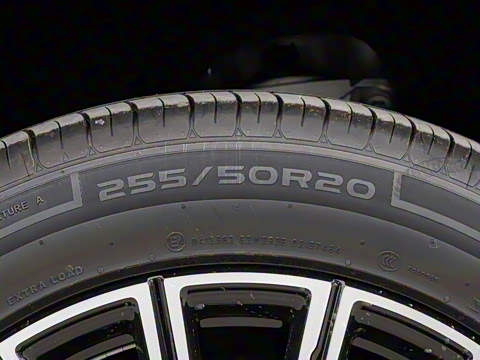 2025�� 230km ����̽����