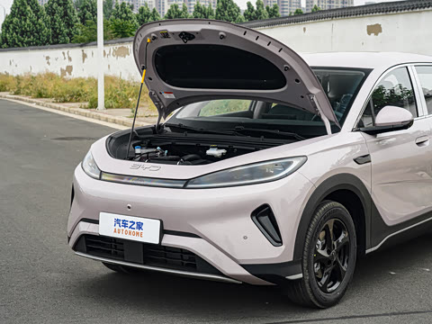 2026�� DM-i 220������