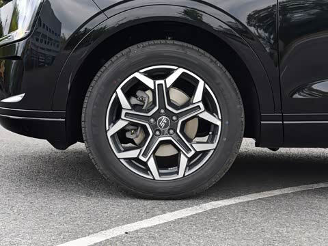 2026�� 121km ���ʰ� 5��