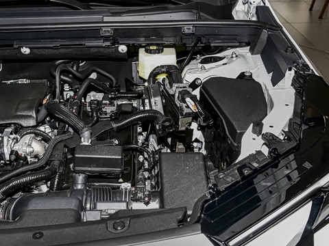 2026�� ˫�� 2.5L �����콢��