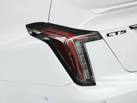 2025�� 28T �������ܰ�