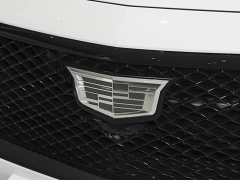 2025�� 28T �������ܰ�