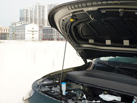 2026�� 505������