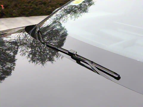 2026�� 126������ Max