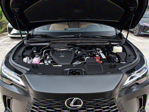 2026�� 300 ����Black Edition