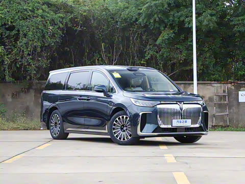 2026�� EV Ǭ��Max