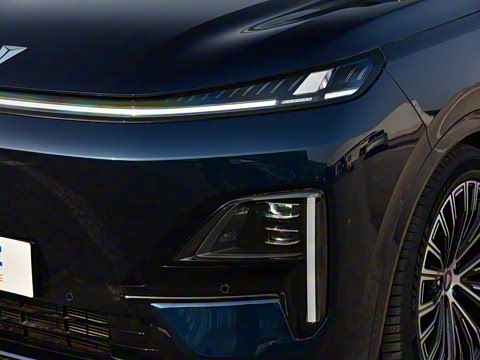 2025�� ����Ultra+ ���������߶���