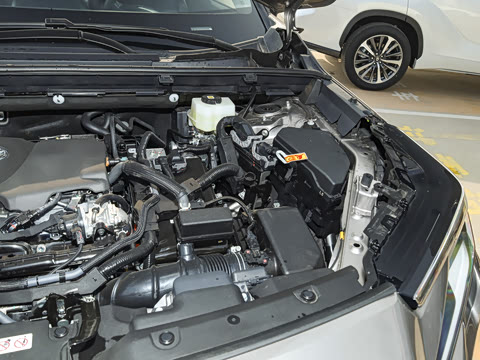 2026�� ˫�� 2.5L ����������