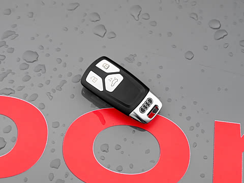 2024�� RS 5 2.9T Sportback �����