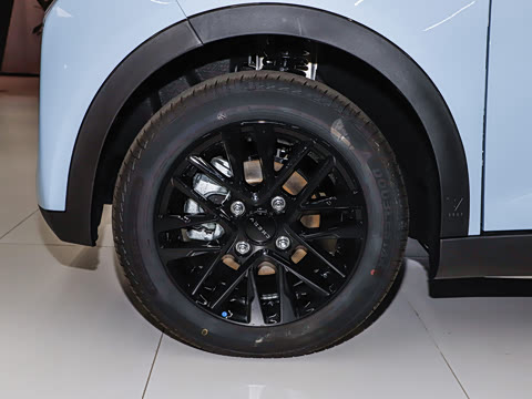 2025�� 251km ϲ���� 25.05kWh