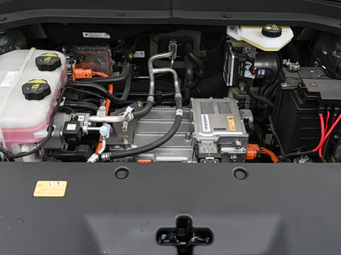 2025�� 565km ������