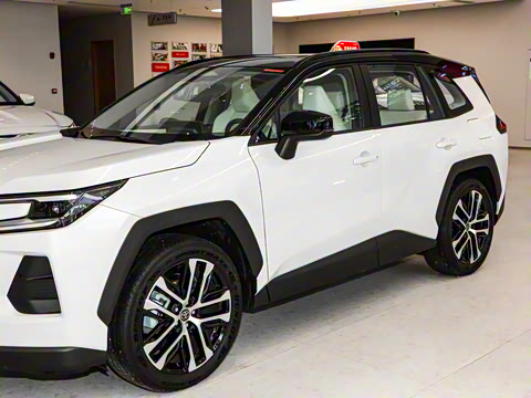 2026�� 2.0L ���ܵ��˫�� PRO+