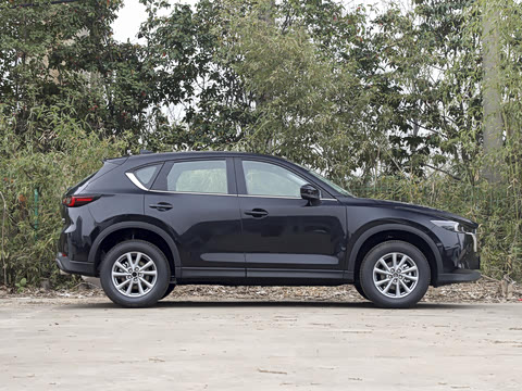 2025�� 2.0L �Զ�����������