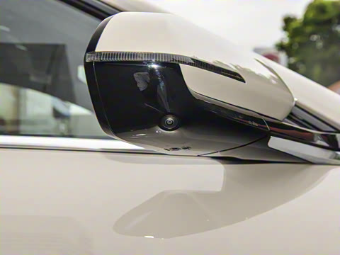 2025�� ������