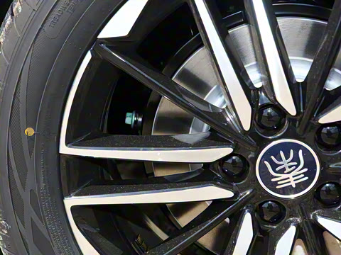 2025�� EV 545KM������