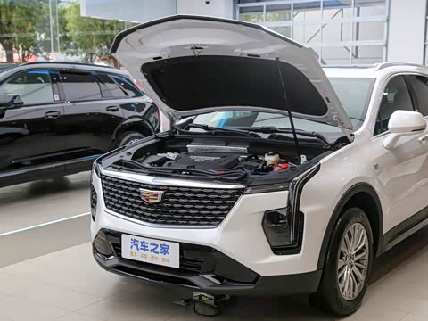 2026�� 28T ������