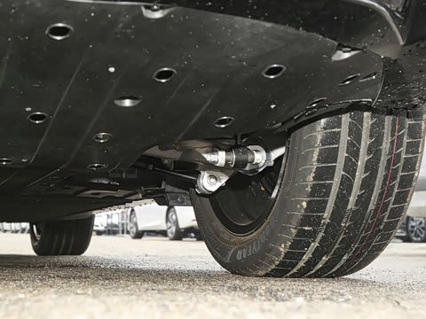 2026�� Elite �����