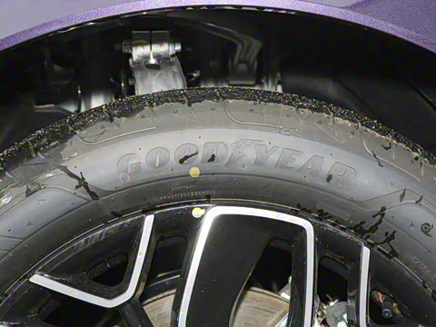 2026�� Elite �����