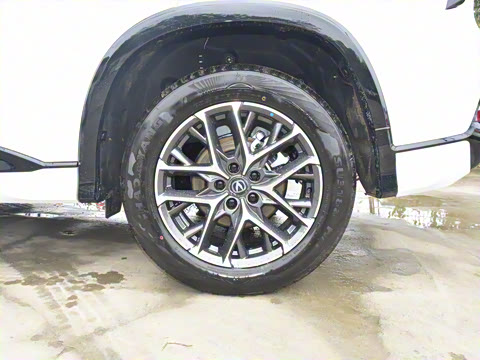 2026�� �ǻ۹ھ��� 1.5T ������ ������