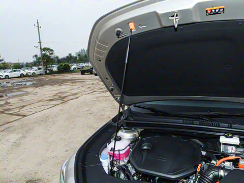 2026�� 60km̽����