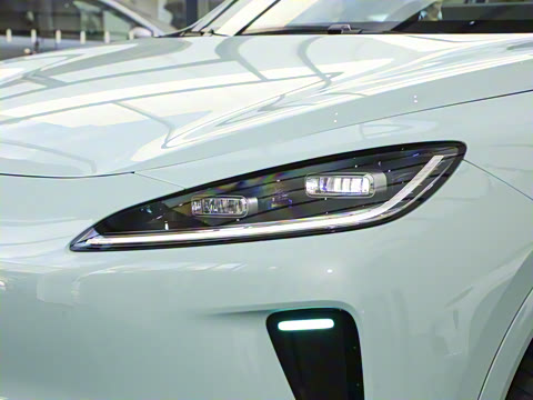 2025�� ���� Max