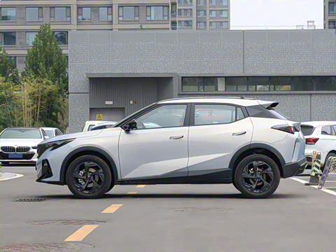 2026�� Ӱ�� 270T ������