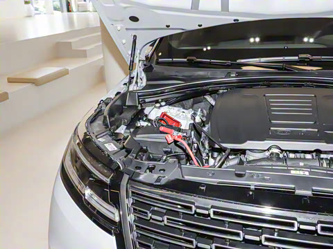 2026�� 250PS Dynamic SE